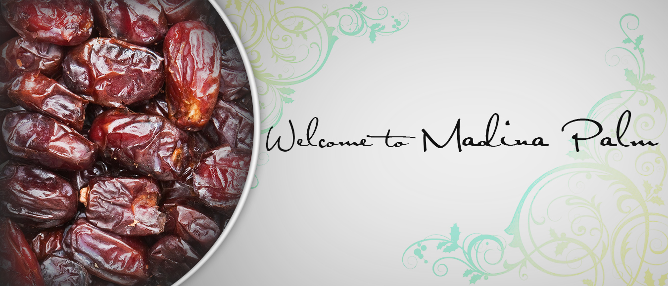 www.madinapalm.com